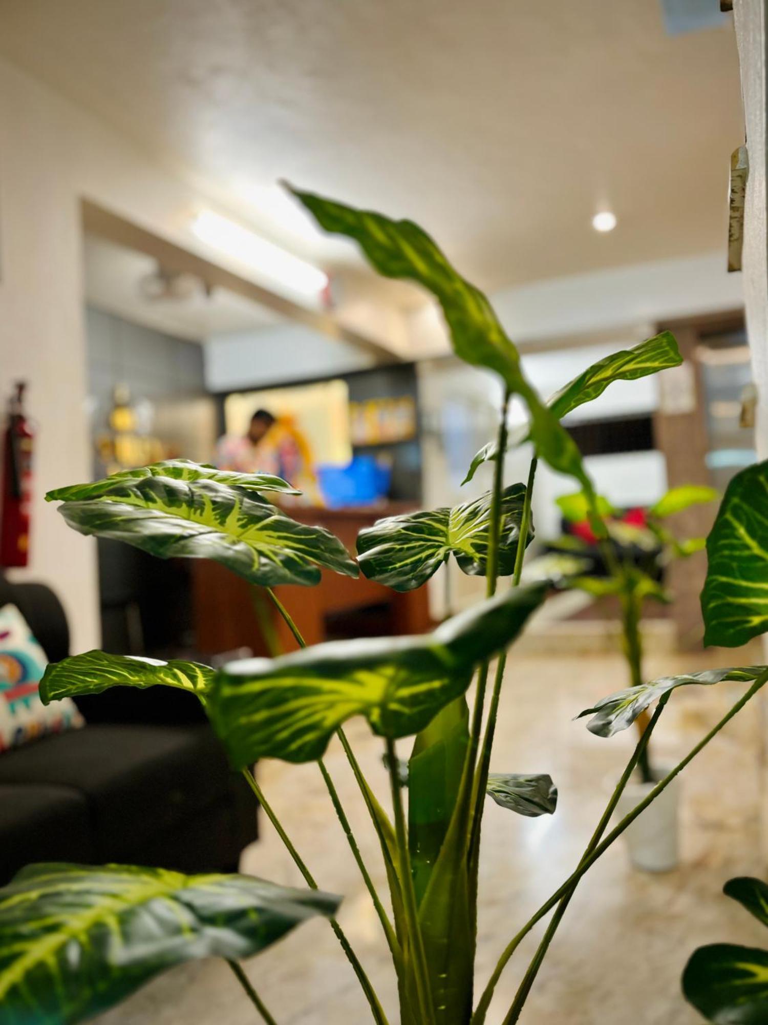 Sai Shreyas Residency, Best Hotel Near Bangalore Airport Dod Jala Exteriör bild